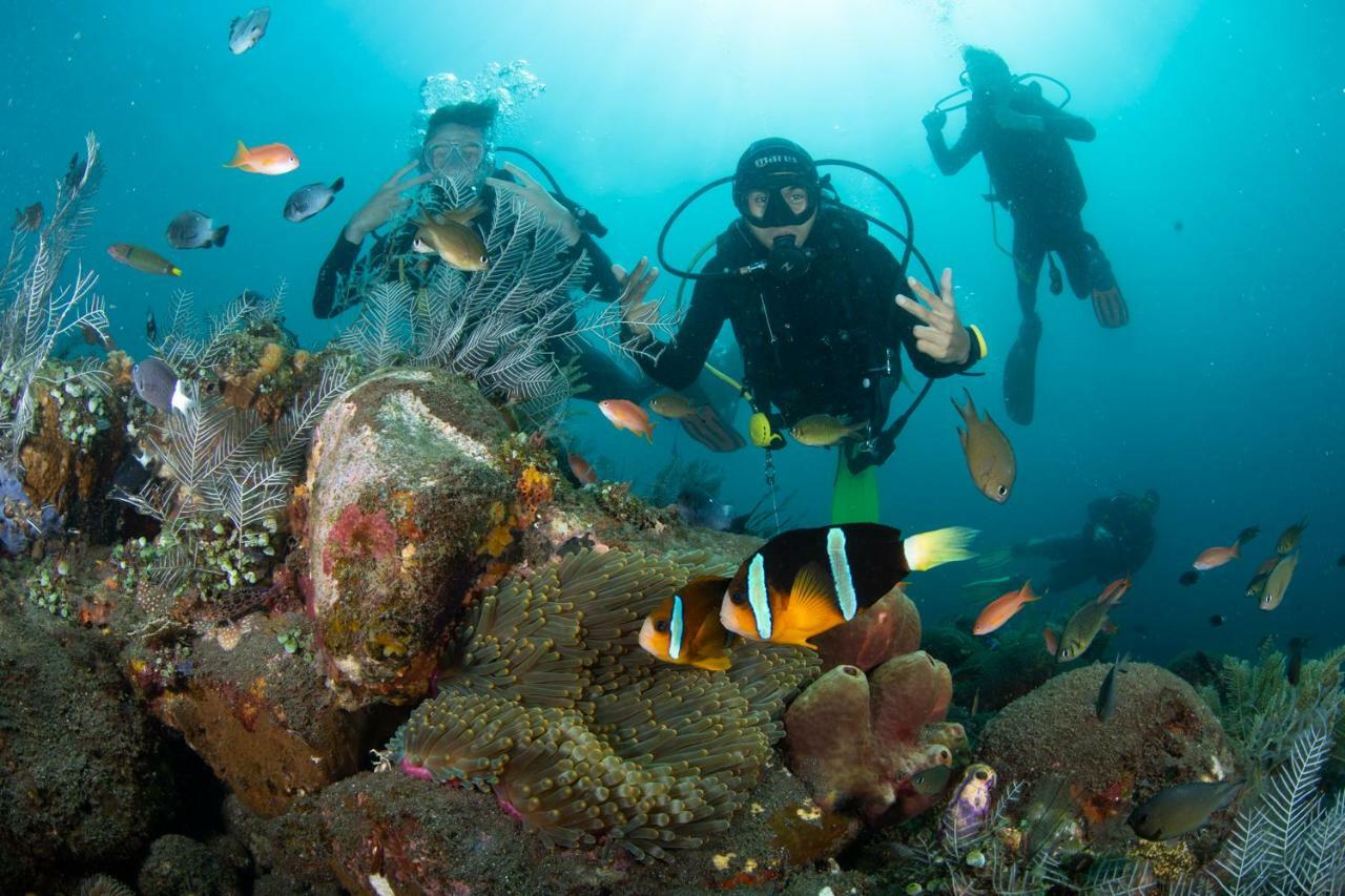 Bali Dive * Amed